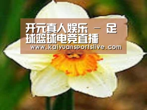 产品名称四