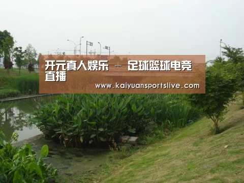 案例展示四