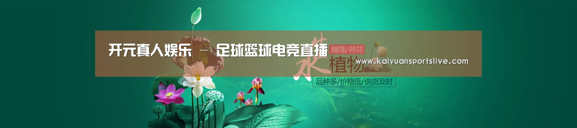 鲜花水草花卉网站模板