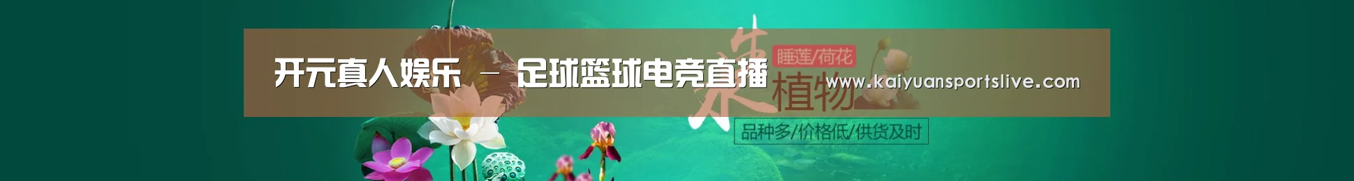 鲜花水草花卉网站模板