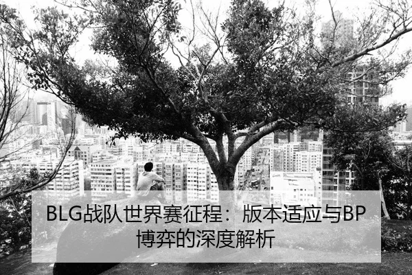 zhan-dui-shi-jie-sai-zheng-cheng-ban-ben-shi-ying-yu-bo-yi-de-shen-du-jie-xi-2-989.jpg