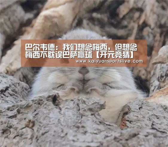 开元登录